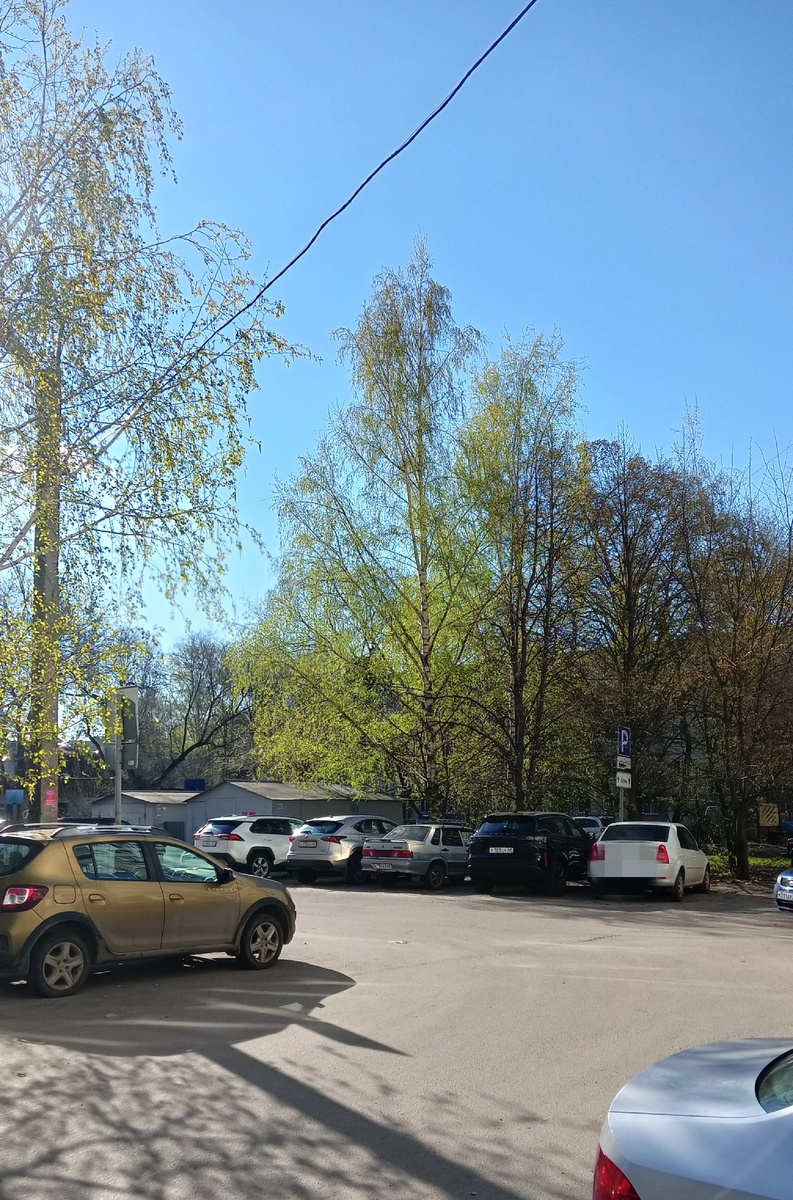 Фото автора 