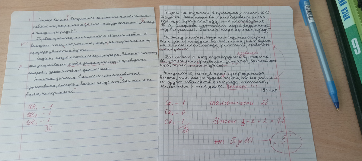 Пробный экзамен по русскому языку 