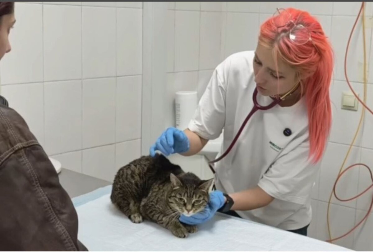 врач и пациент клиники КОТЯУС