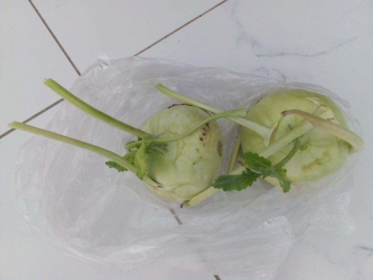 Кольраби