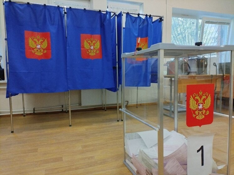     Всего в регионе распределят 133 депутатских мандата. Фото: архив МК в Калининграде.
