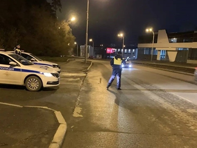     Фото: Госавтоинспекция Екатеринбурга