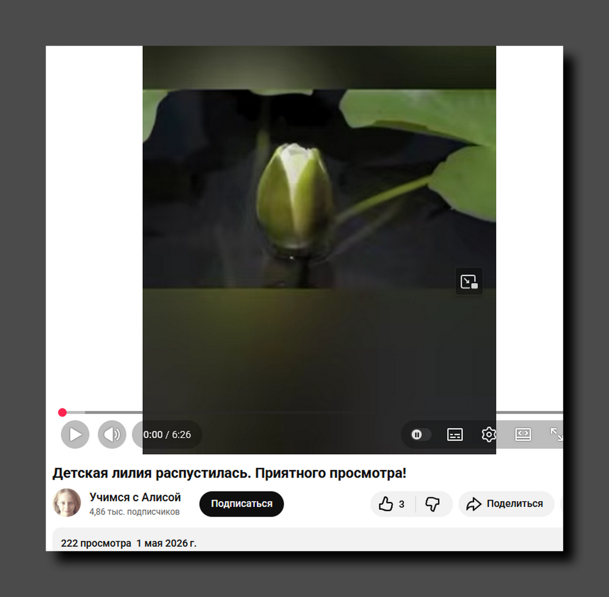 Скриншот https://www.youtube.com/@alisaxuexi