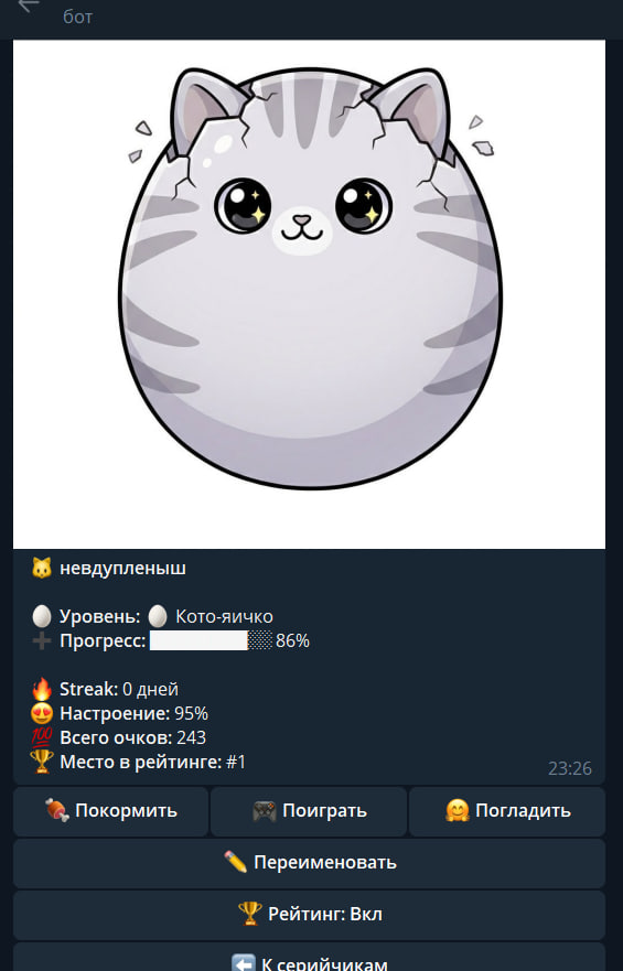 Профиль котика 