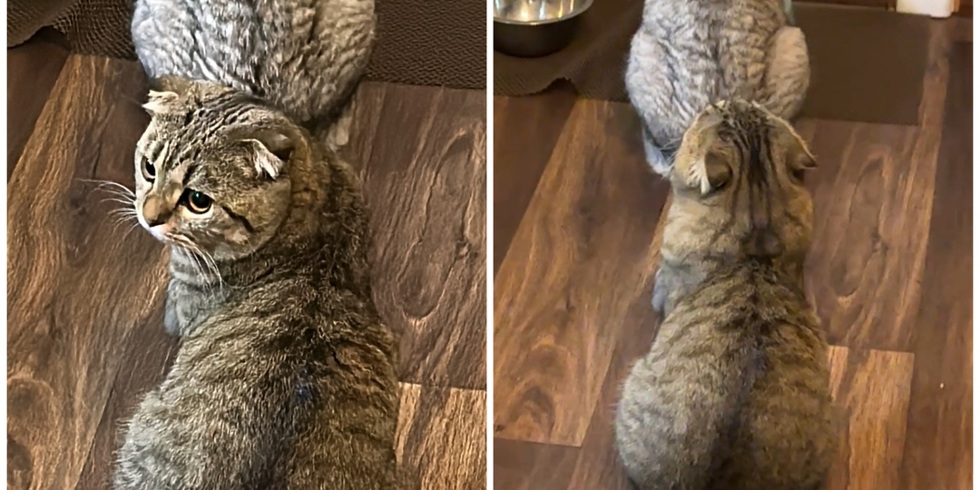 С Марсом по-другому и быть не могло😅