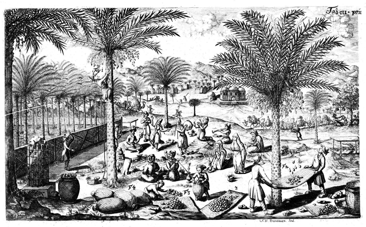 Персия_Kaempfer E. Amœnitatum exoticarum politico-physico-medicarum fasciculi V, 1712.