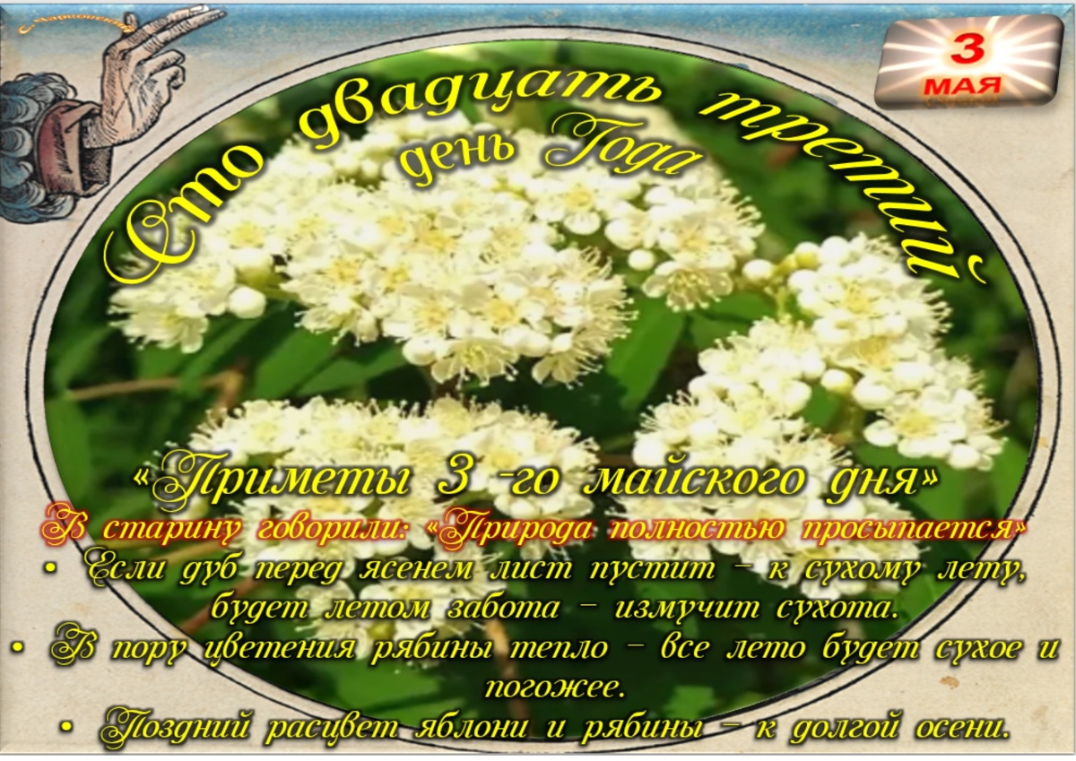 Встречаем новый день