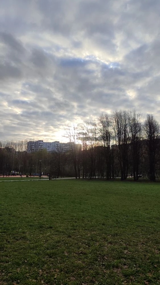 Фото из нашего парка, прям как мое настроение. С одной стороны унылое. С другой, надежда на лучшее. 
