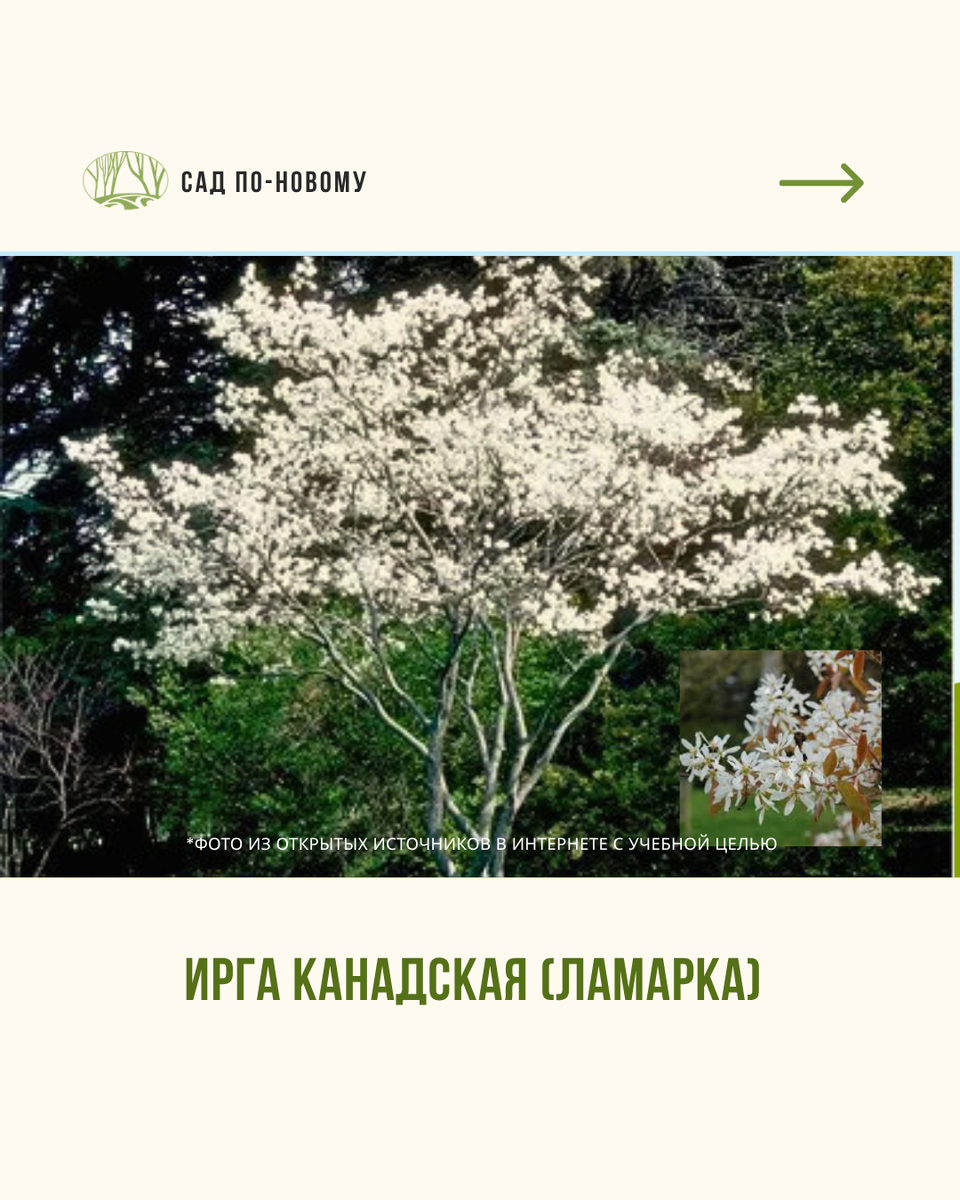 Листайте галерею по стрелочке вправо