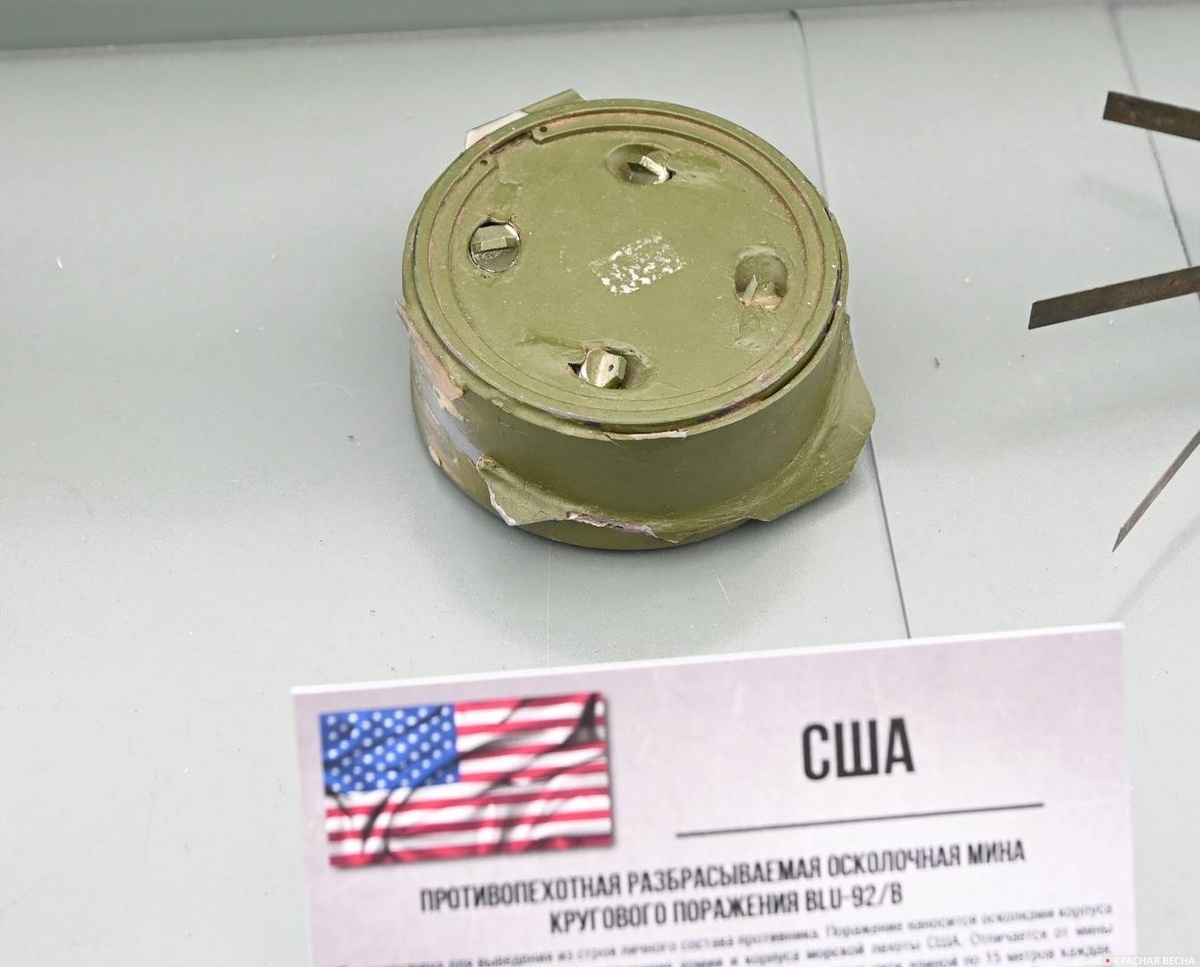     Противопехотная разбрасываемая осколочная мина кругового поражения BLU-92.B (США)   
Иван Лазебный © ИА Красная Весна