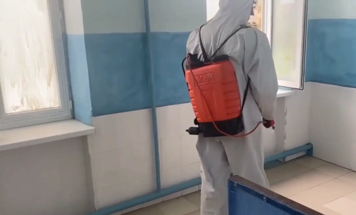    Фото: стоп-кадр видео от пресс-службы МЧС России
