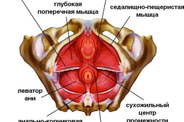фото из открытого источника
