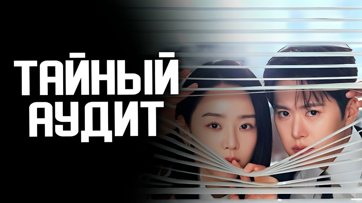 Постер к дораме "Тайный аудит"
