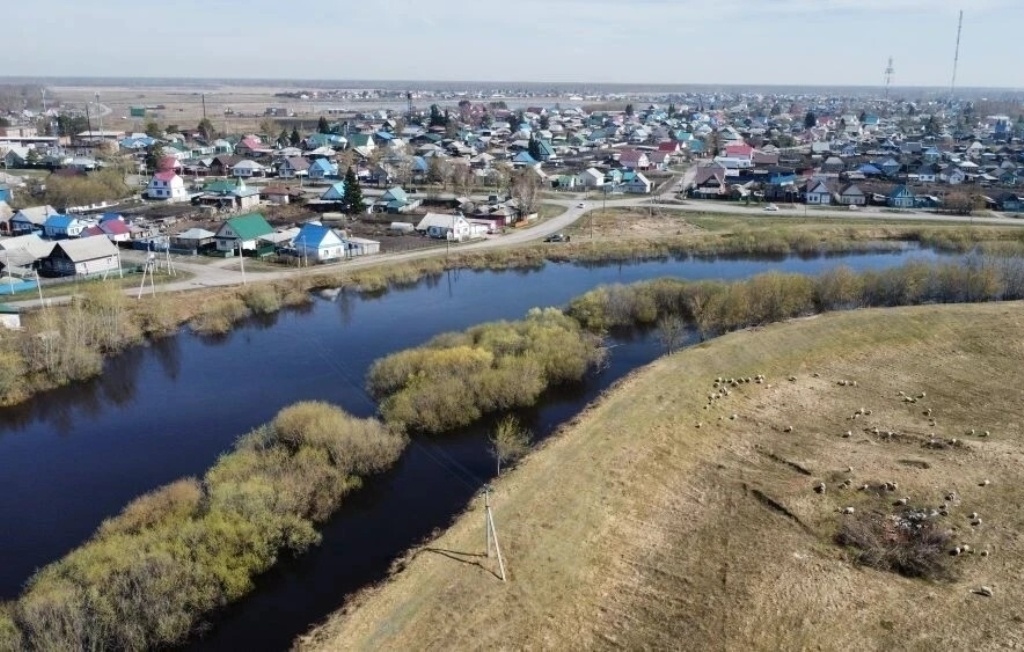    Фото: пресс-служба администрации Куйбышевского района