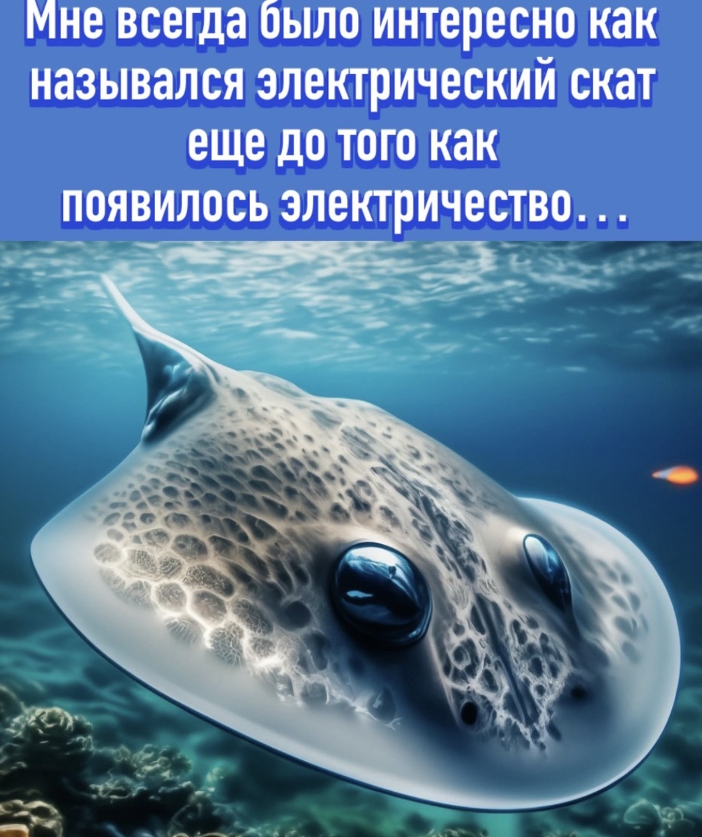 -8