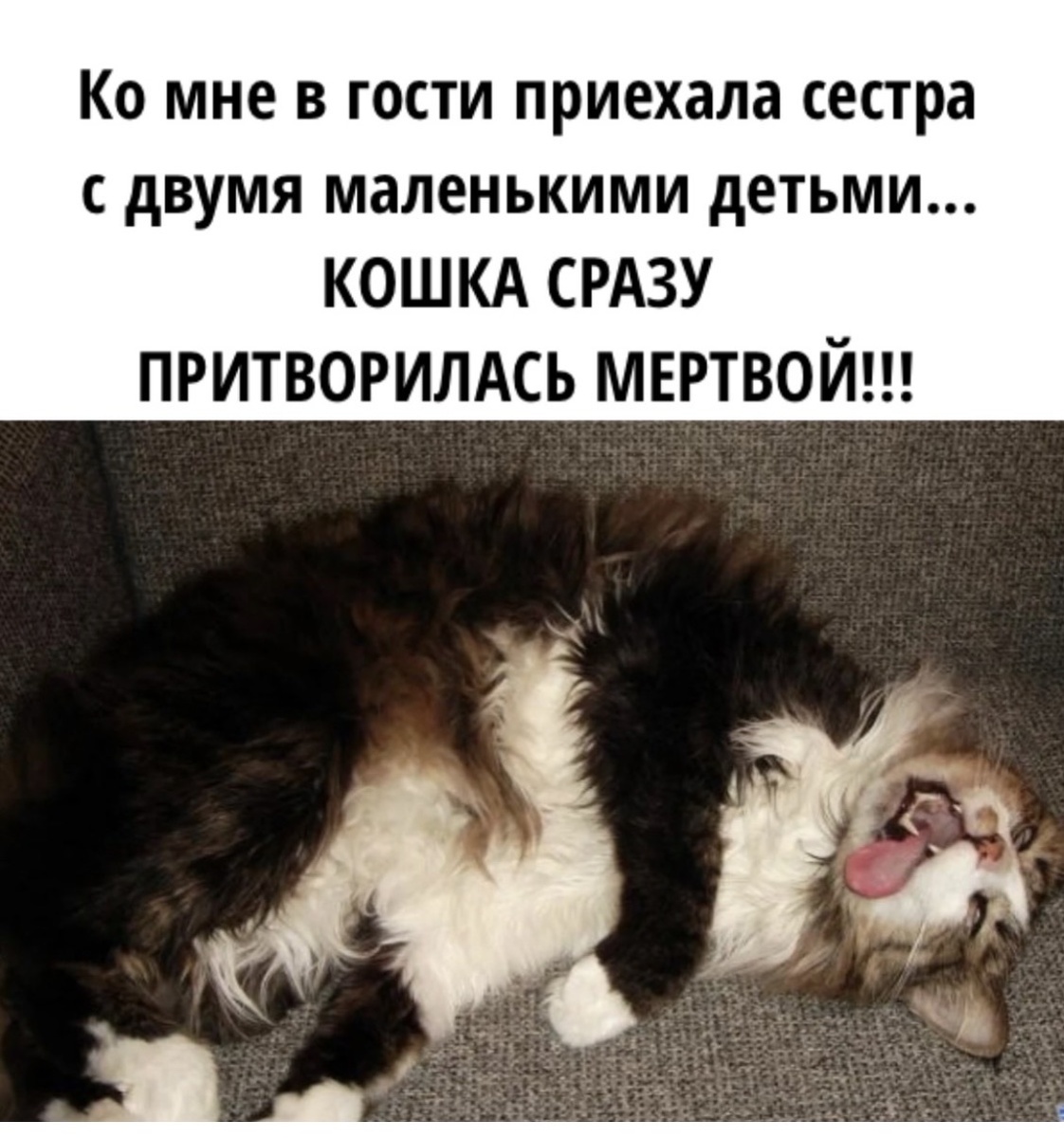 -4