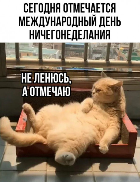 Яндекс Открытый источник 