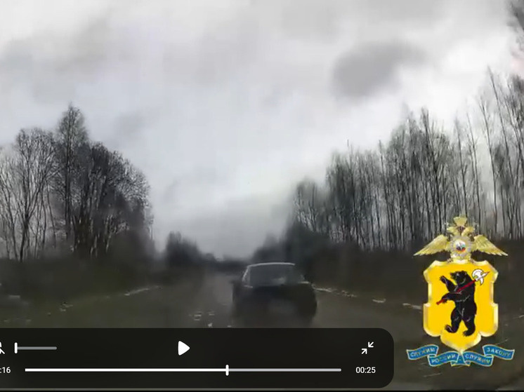     скрин видео УМВД