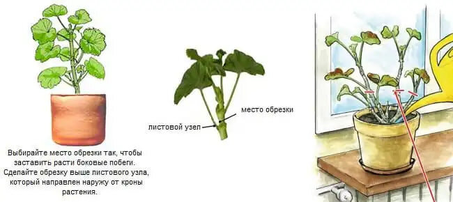 фото из открытого источника