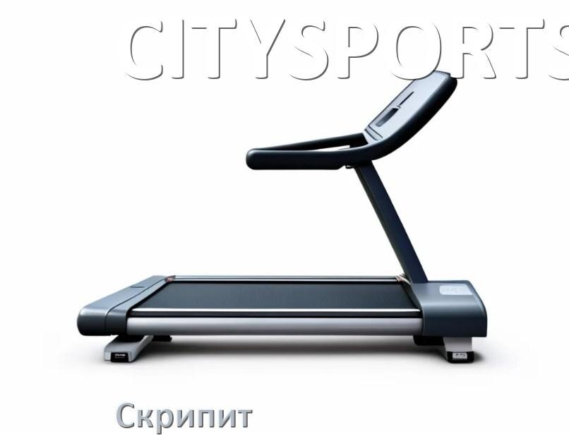 
Почему скрипит беговая дорожка CITYSPORTS при беге трещит и что делать