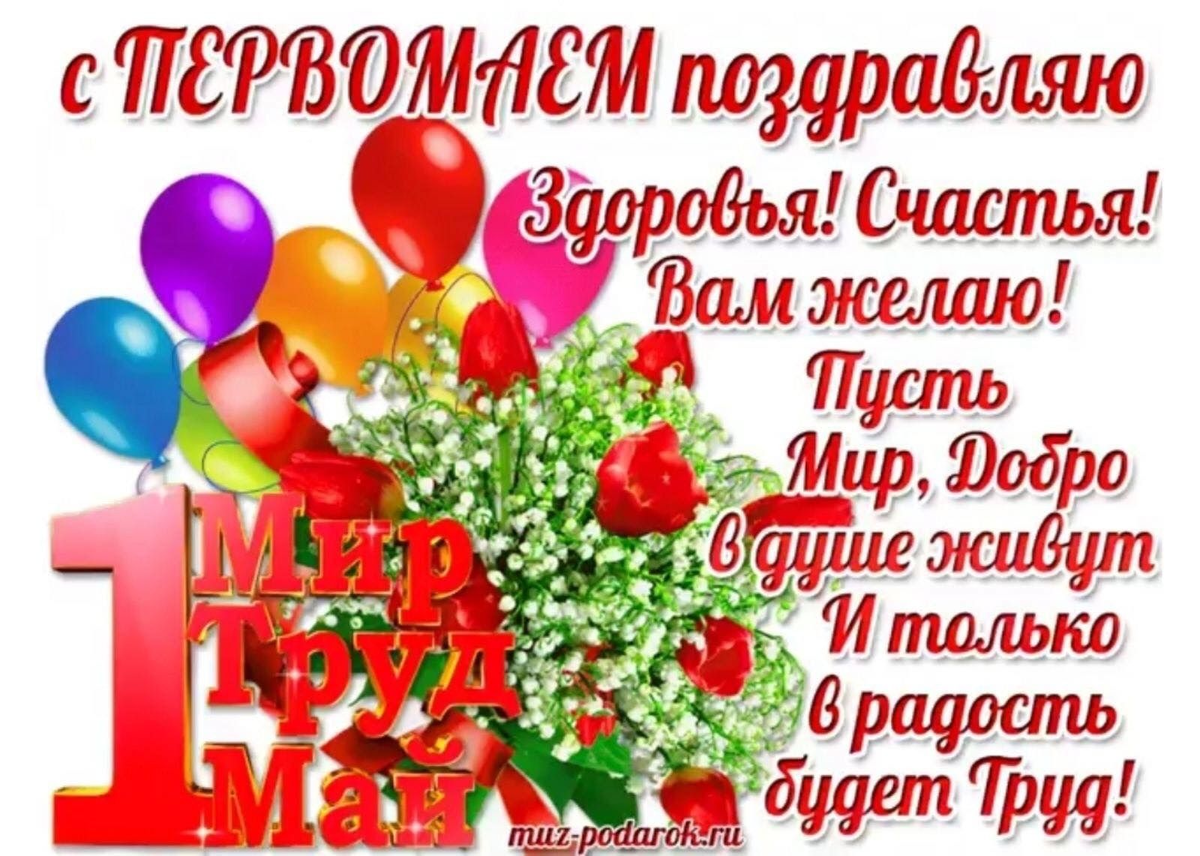 яндекс картинка