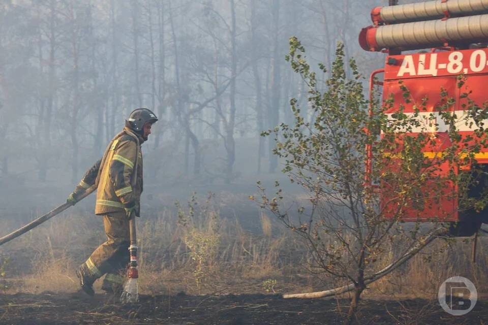    Фото: Дмитрий Рогулин / "Городские вести"