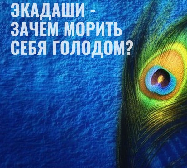 ЭКАДАШИ — ЗАЧЕМ МОРИТЬ СЕБЯ ГОЛОДОМ КАЖДЫЕ ДВЕ НЕДЕЛИ