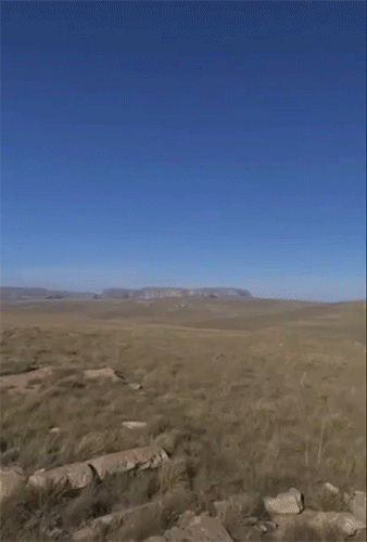 -7