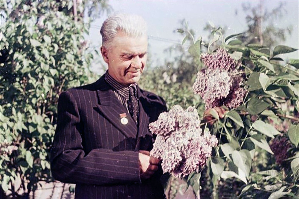 Л.А. Колесников 
