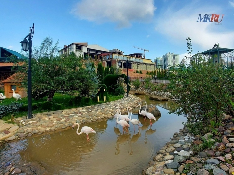     Фото: "МК в Калуге".