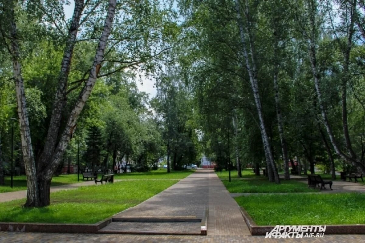    В Томске на месте детской площадки появится сквер