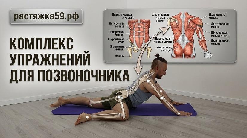 Здоровая спина. Комплекс упражнений для позвоночника