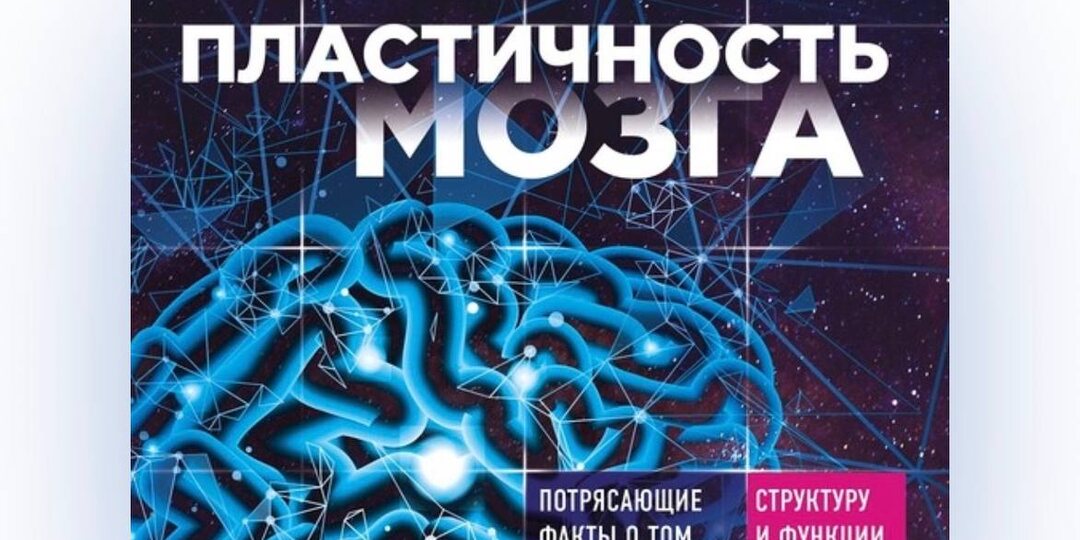 Хочу дополнить свое резюме по поводу этой книги