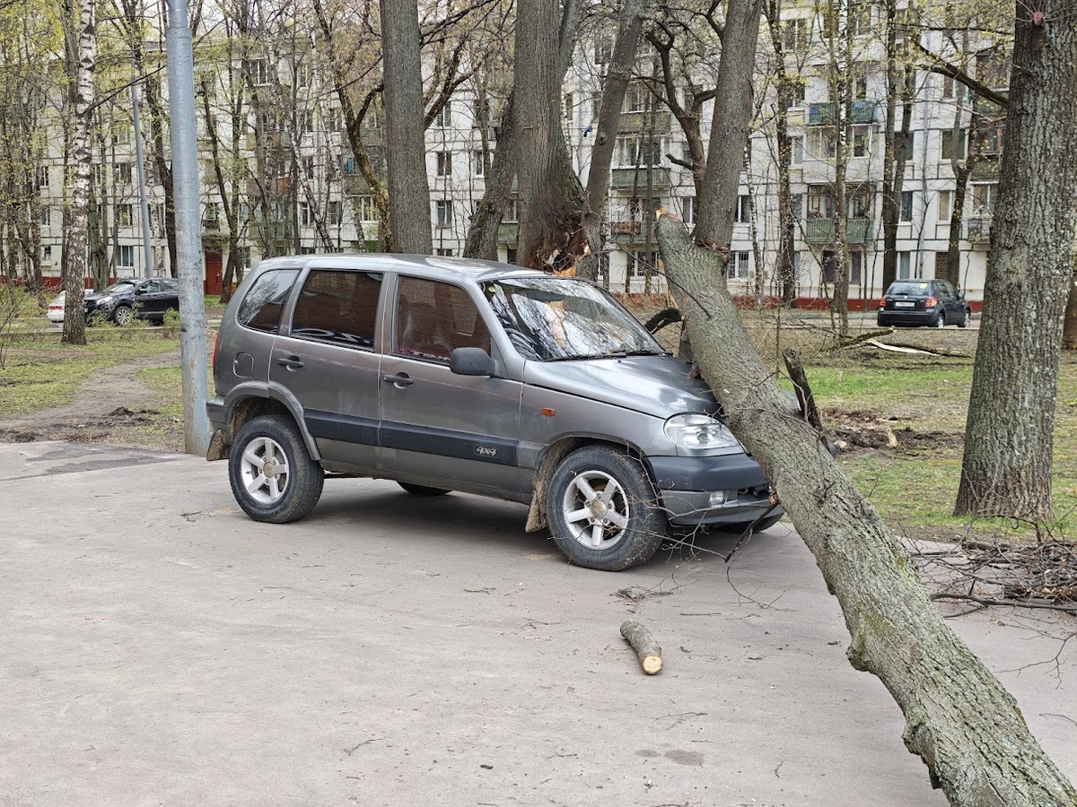 Упало дерево на машину во дворе