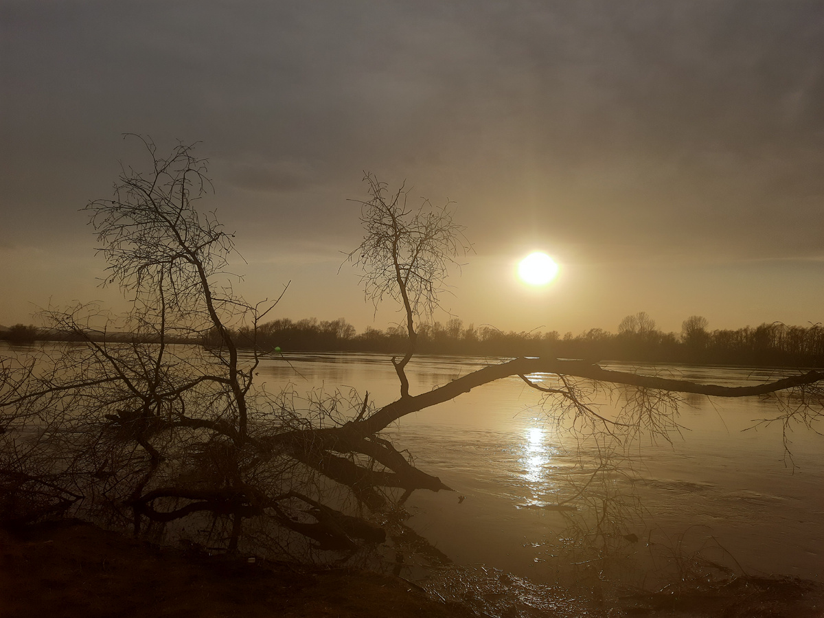 Река Чулым