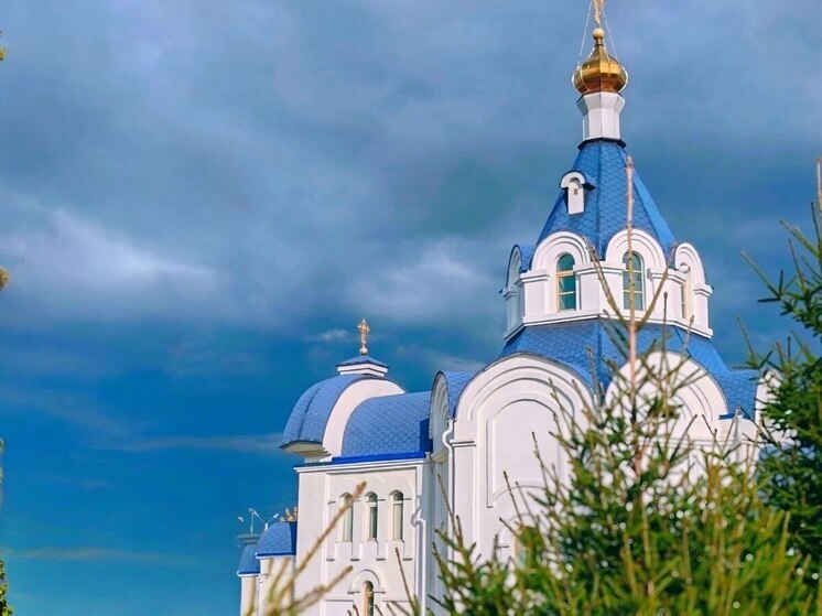   Анна Арапова