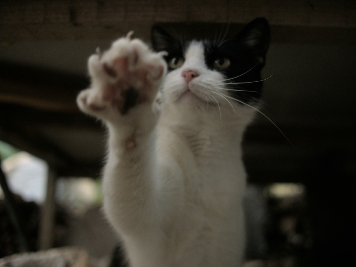 Автор фото Bashy на Unsplash