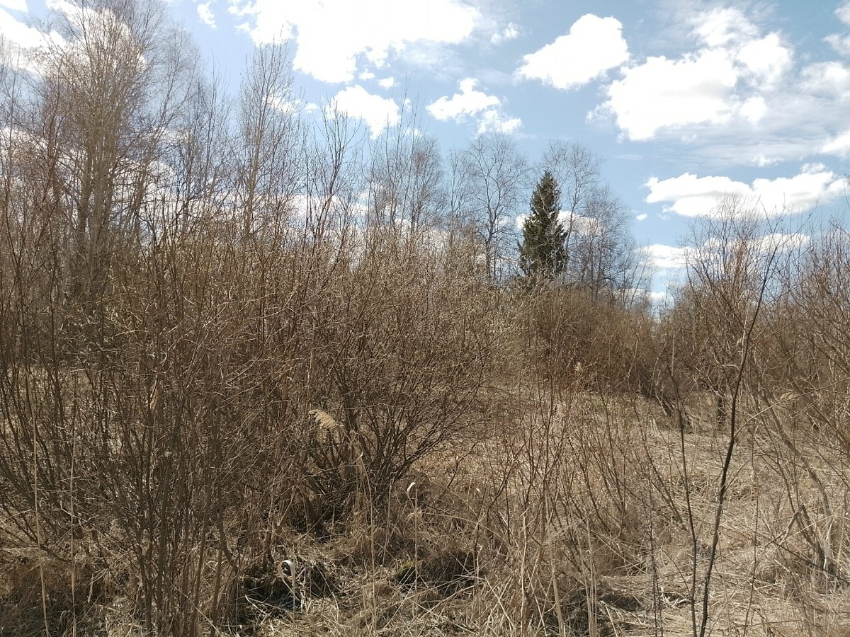 -2-2