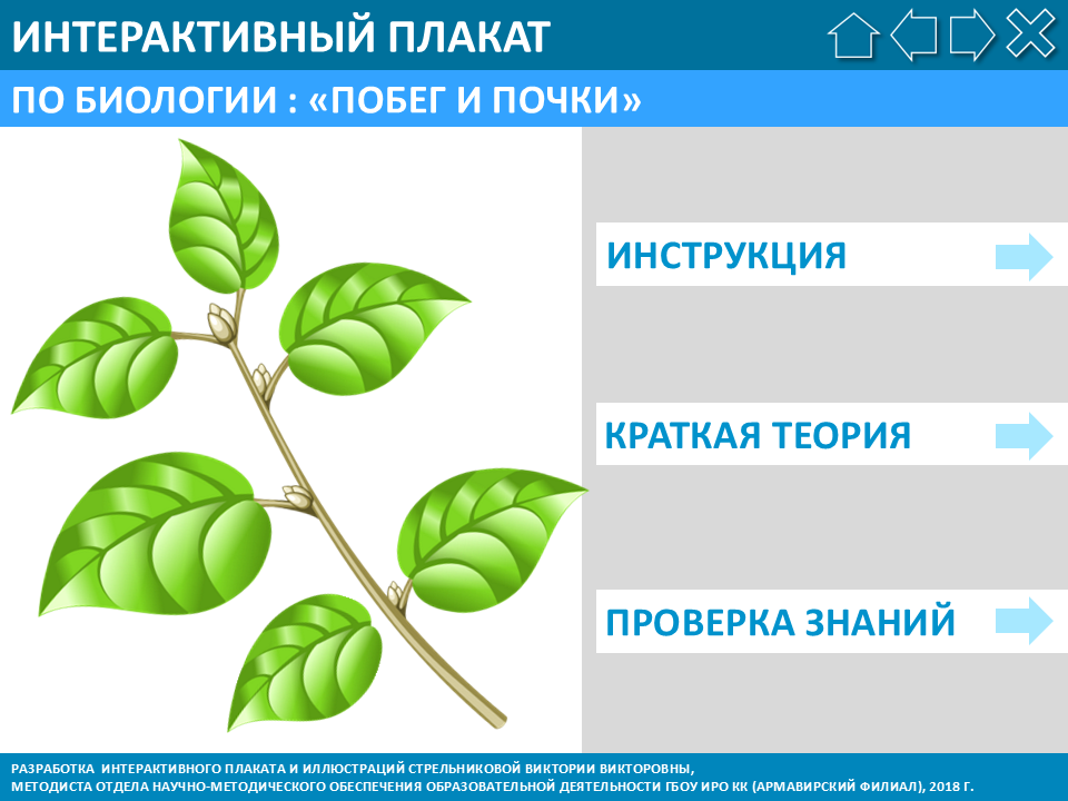 Слайд №1.