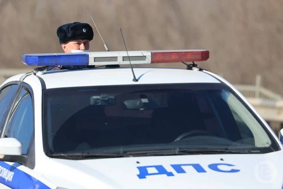    Фото: Дмитрий Рогулин / "Городские вести"