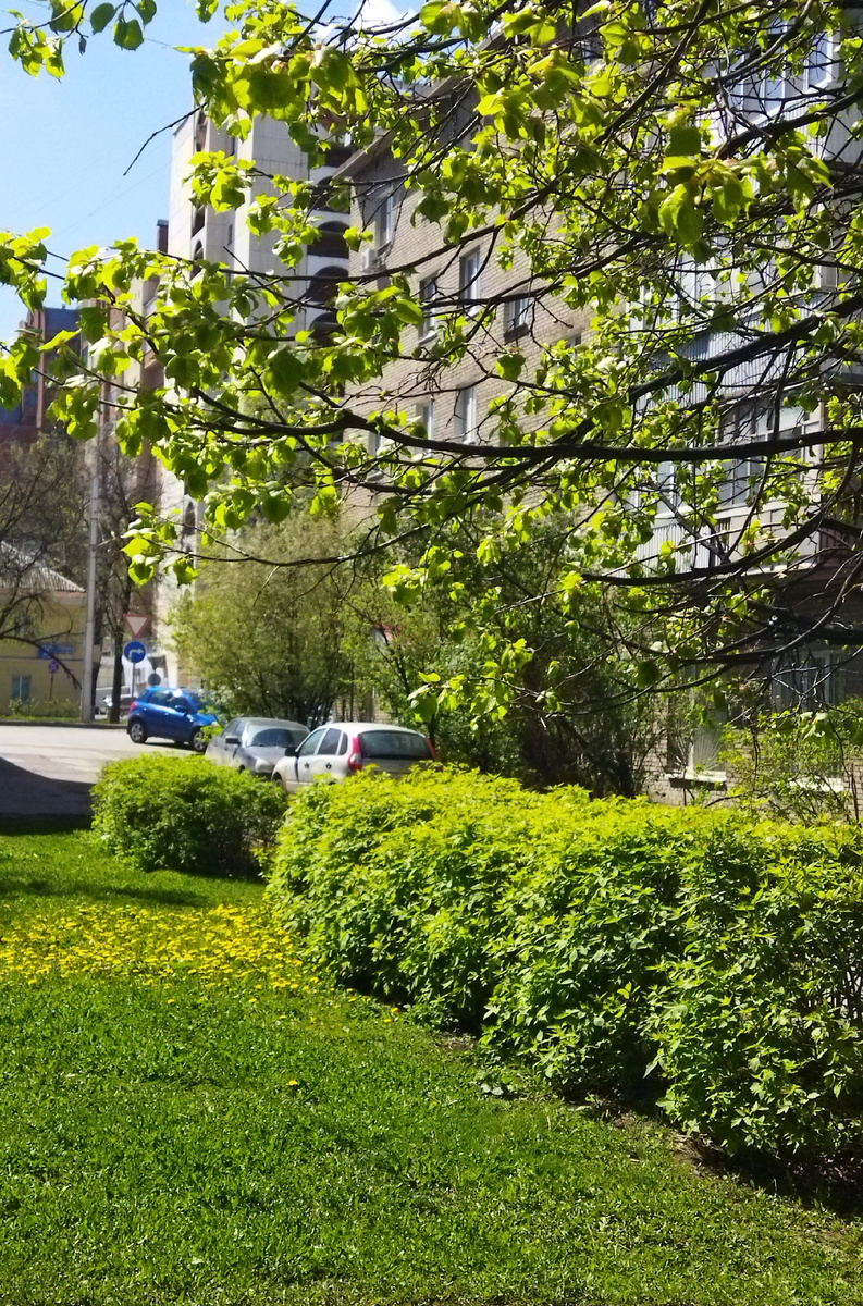 ФОТО АВТОРА