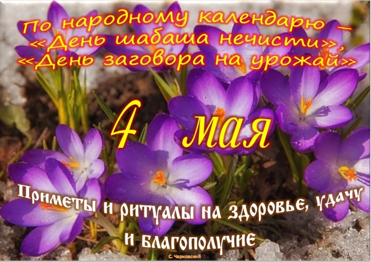 Встречаем новый день