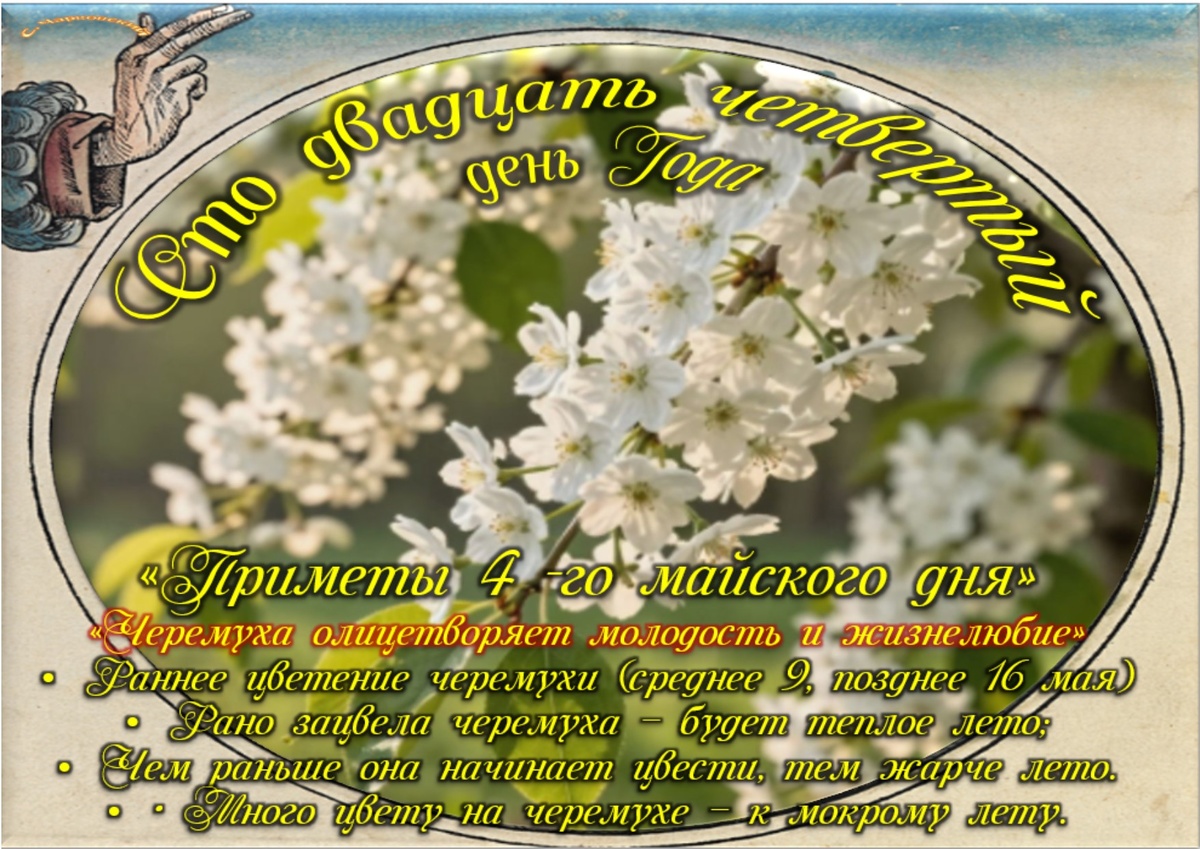 Встречаем новый день