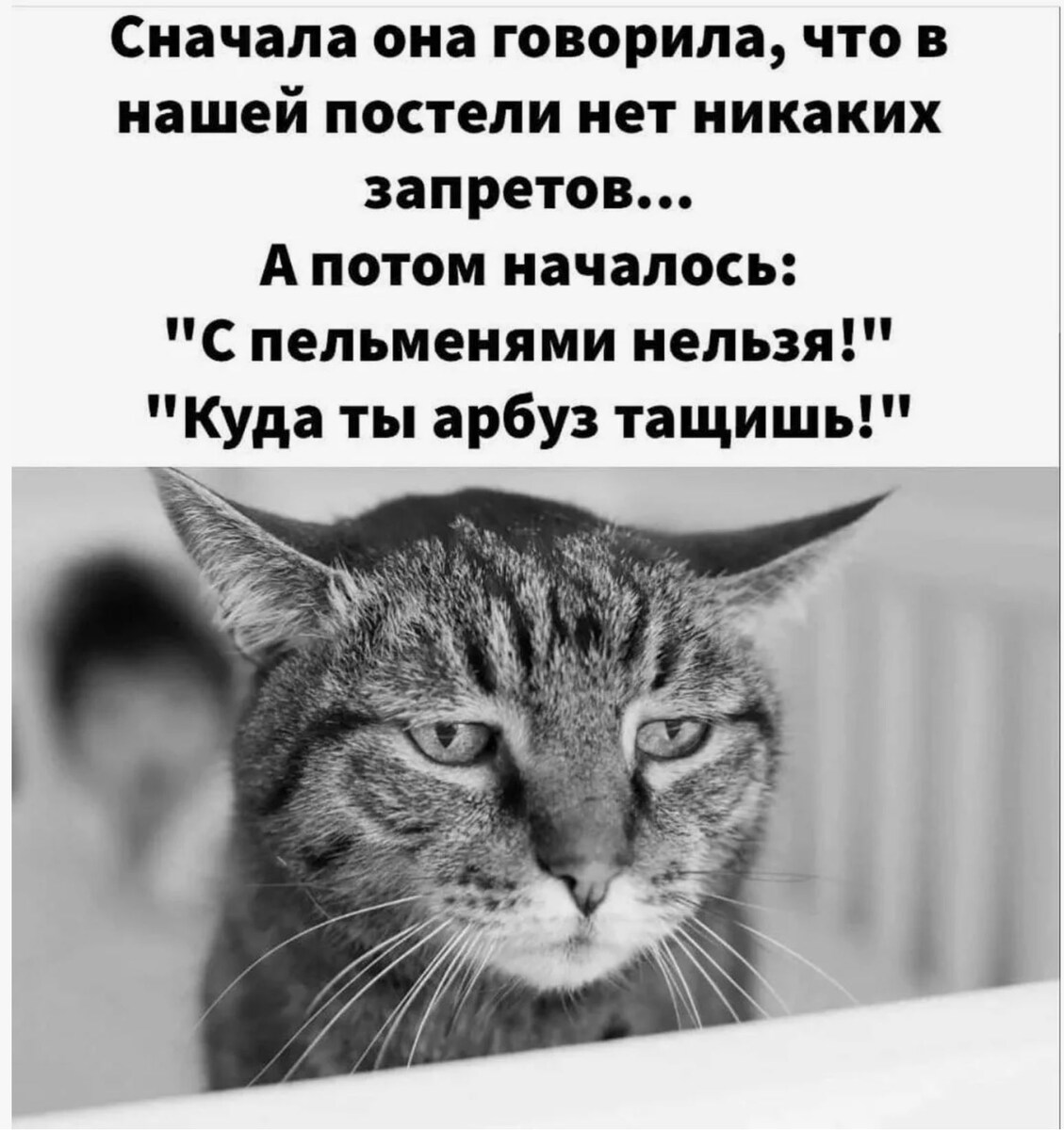 источник Яндекс-картинки