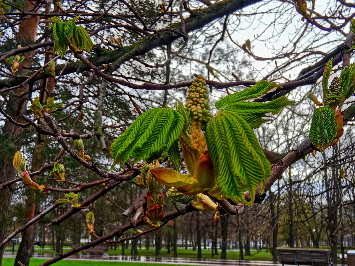 Фото автора канала