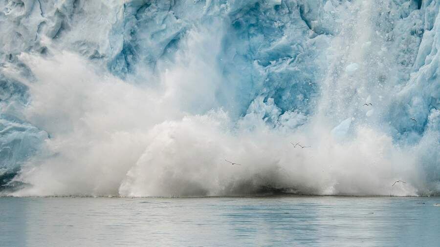    Фото: Global Look Press/Matthias Graben