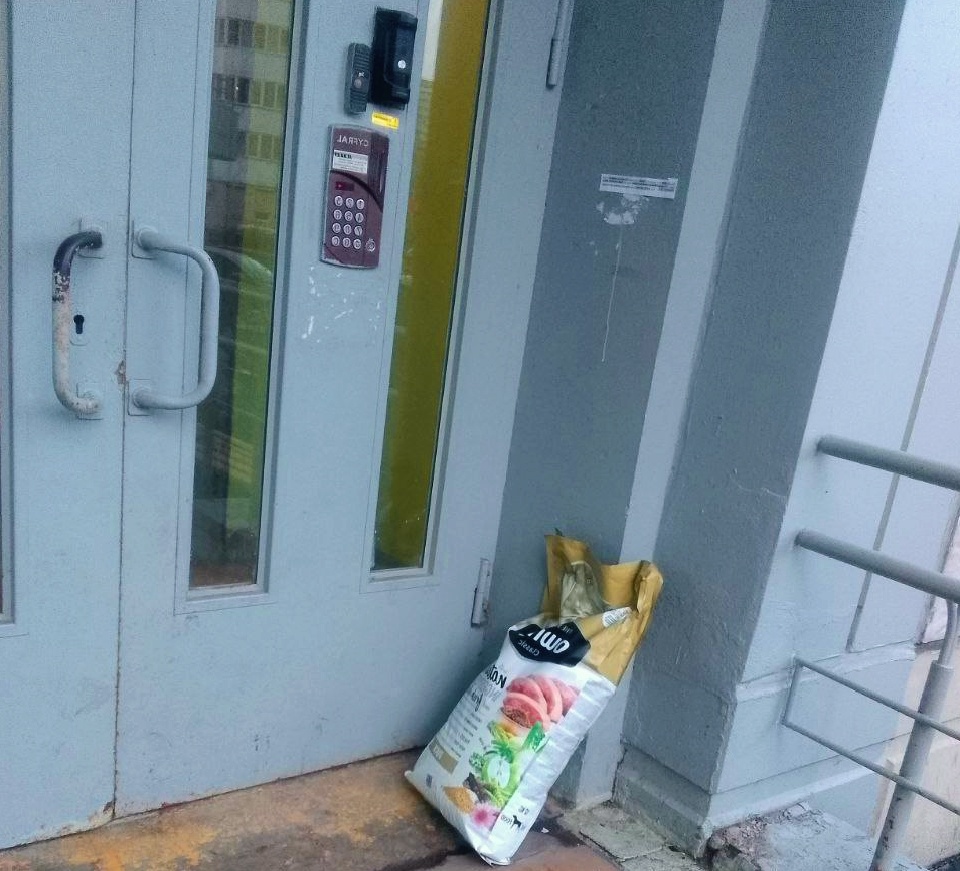 Торчать у подьезда не пришлось