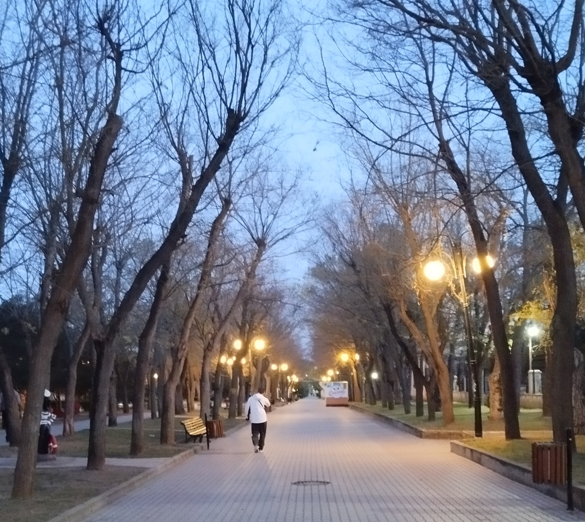 Улица Шевченко. ЗДЕСЬ и далее фото автора и(или) из личного архива автора, если не указано иначе.