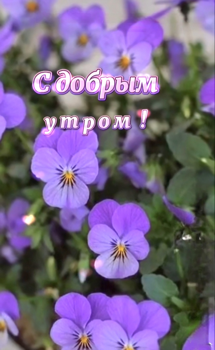Скрин сделан автором