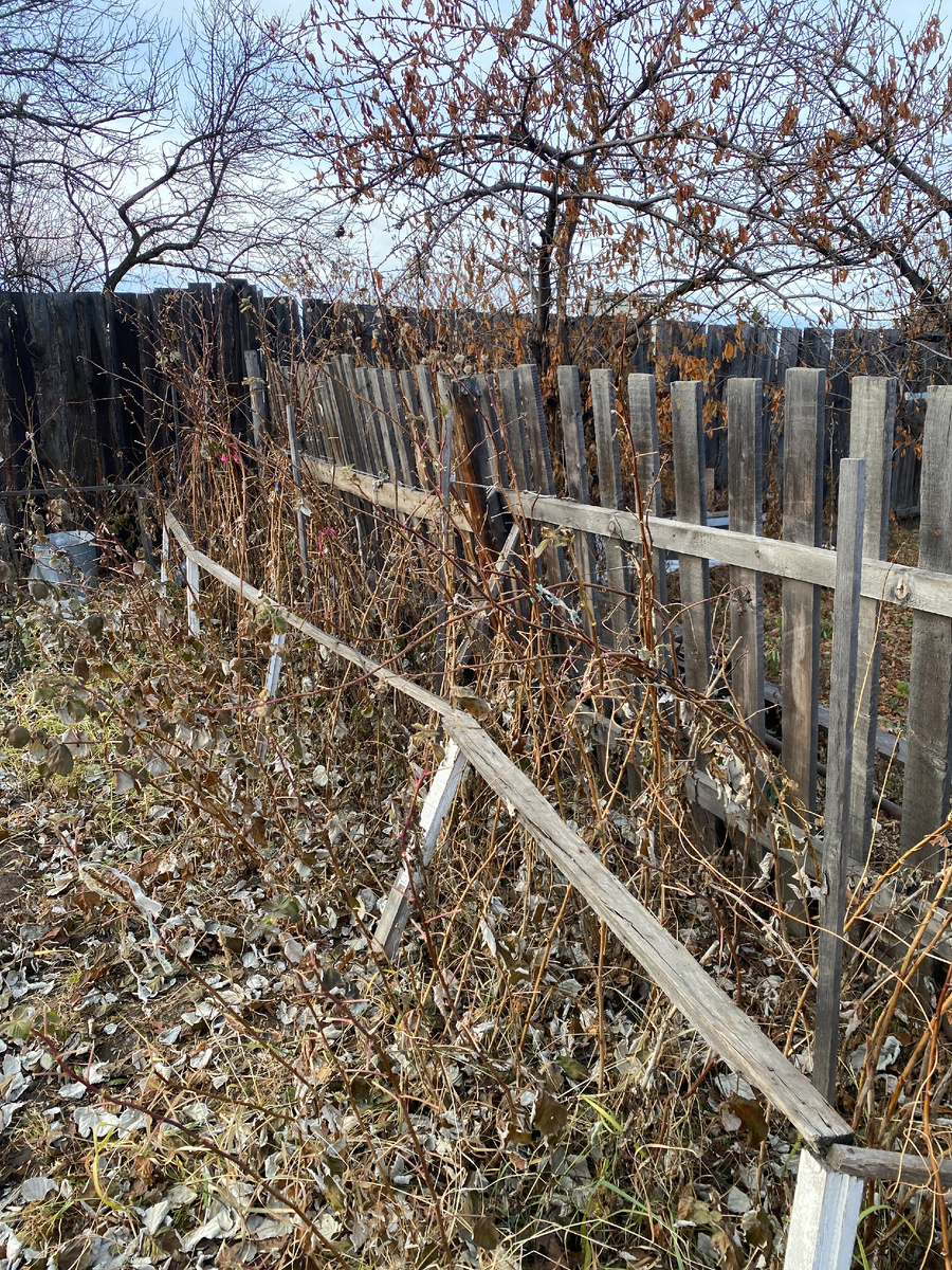 Фото автора. Вот такие строения нам достались.